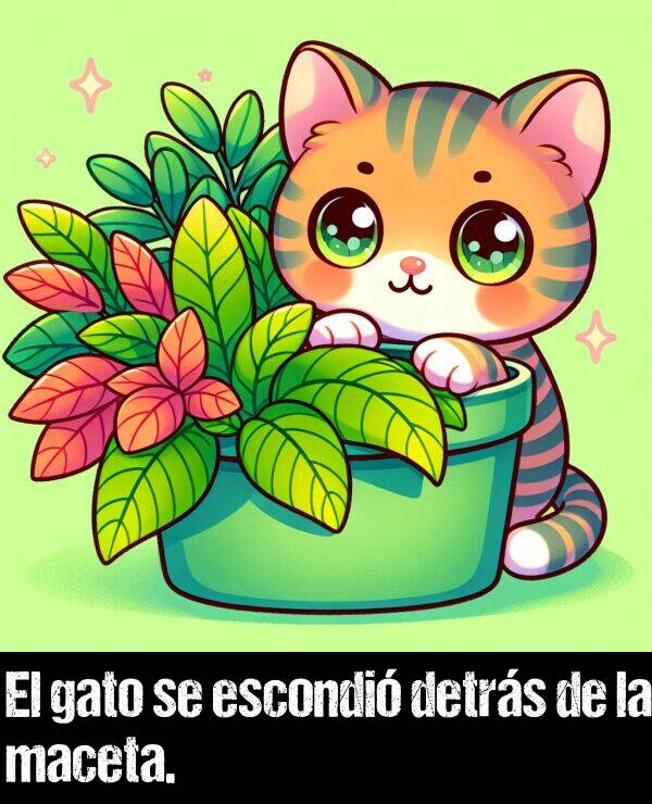 escondi: El gato se escondi detrs de la maceta.